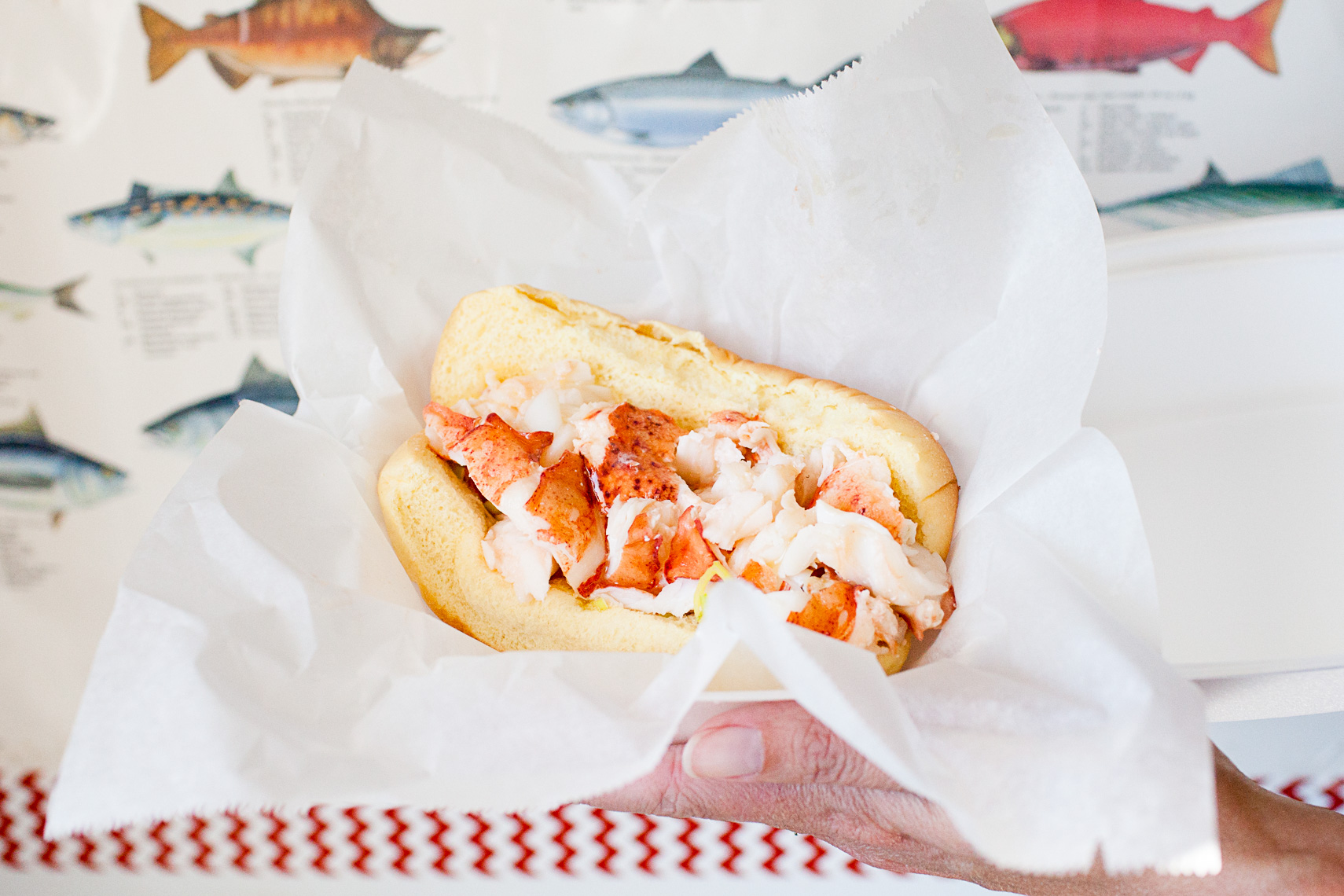 0009_lobster_shacks_new_england_photographer