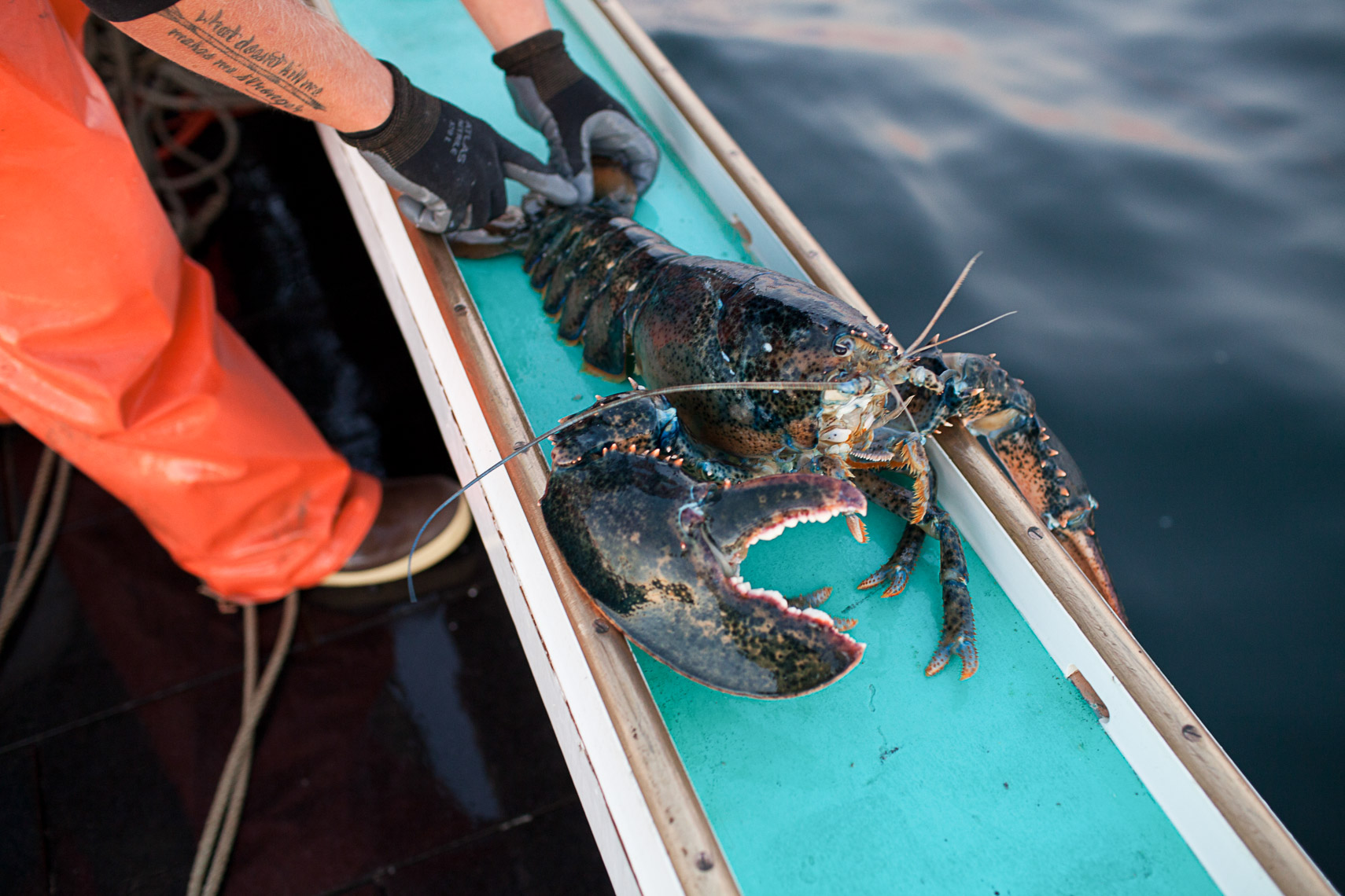 0014_lobster_fishing_fisherman_maine_new_england_photographer