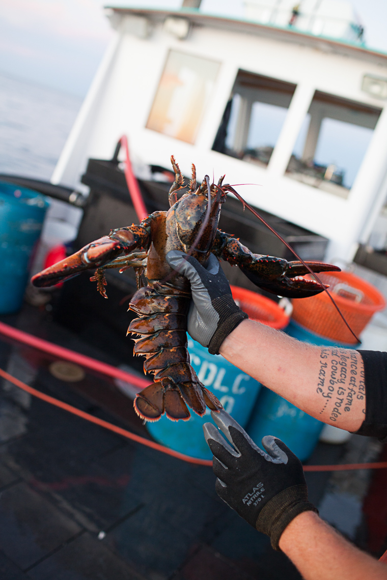 0018_lobster_fishing_fisherman_maine_new_england_photographer